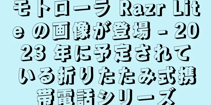 モトローラ Razr Lite の画像が登場 - 2023 年に予定されている折りたたみ式携帯電話シリーズ
