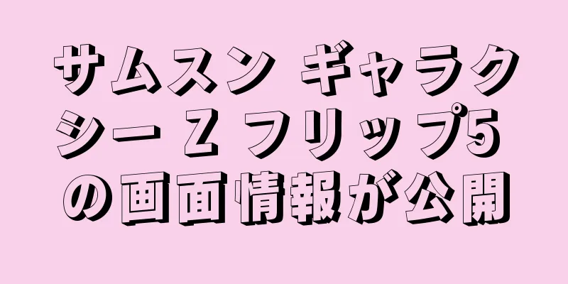 サムスン ギャラクシー Z フリップ5 の画面情報が公開