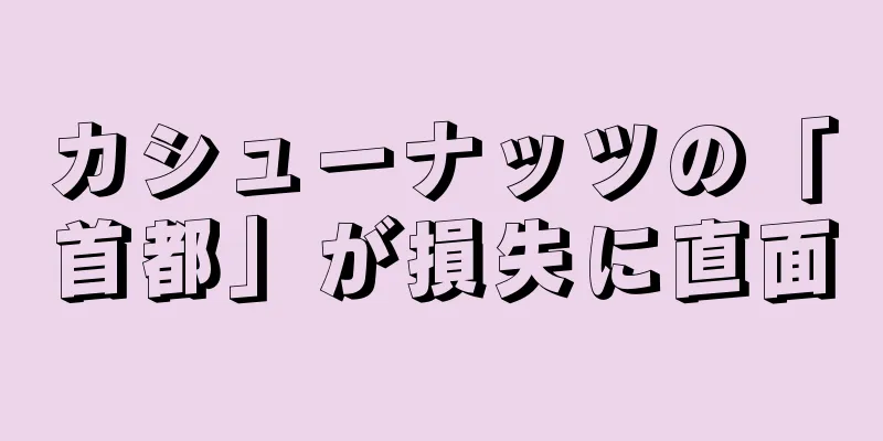 カシューナッツの「首都」が損失に直面
