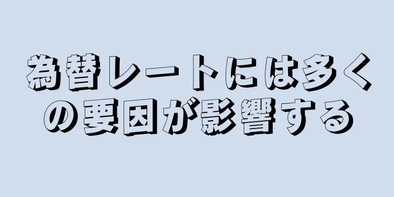 為替レートには多くの要因が影響する