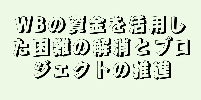 WBの資金を活用した困難の解消とプロジェクトの推進
