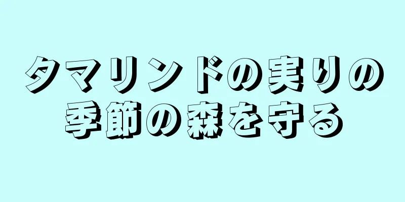 タマリンドの実りの季節の森を守る