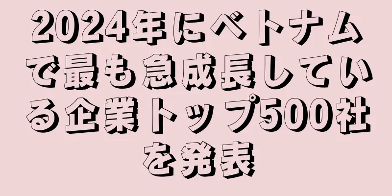 2024年にベトナムで最も急成長している企業トップ500社を発表