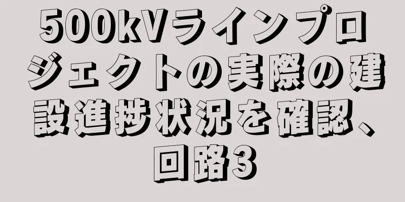 500kVラインプロジェクトの実際の建設進捗状況を確認、回路3