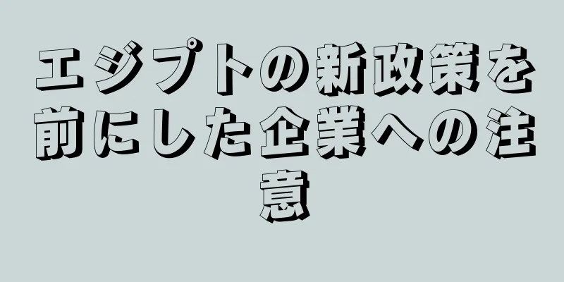 エジプトの新政策を前にした企業への注意