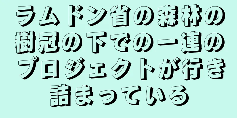 ラムドン省の森林の樹冠の下での一連のプロジェクトが行き詰まっている