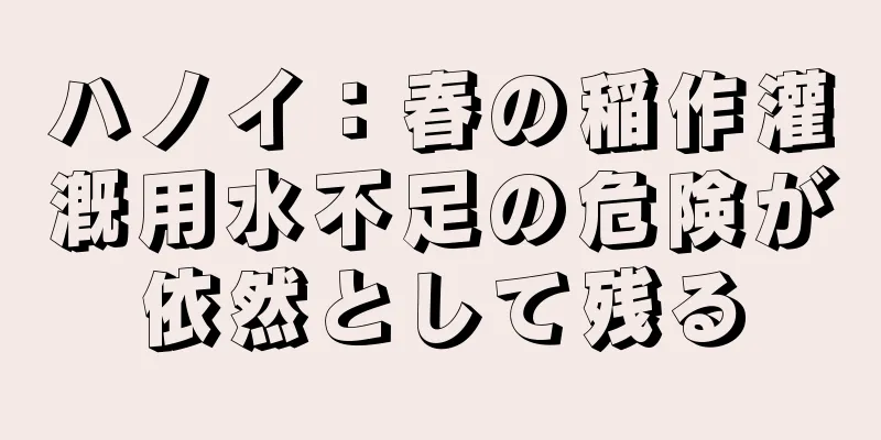 ハノイ：春の稲作灌漑用水不足の危険が依然として残る