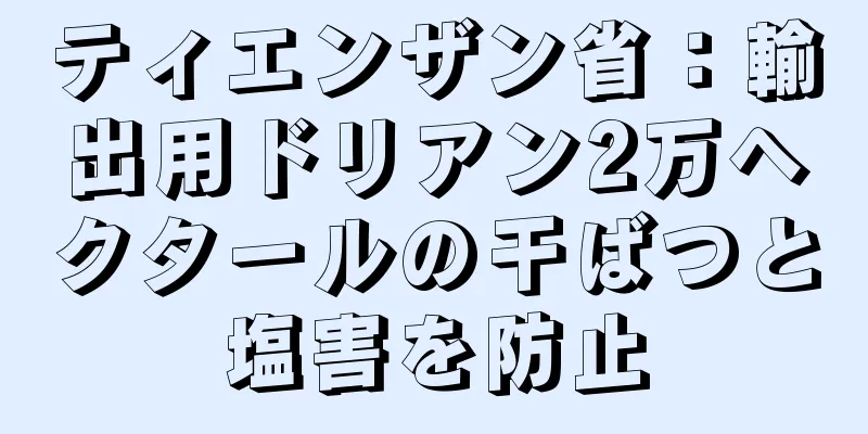 ティエンザン省：輸出用ドリアン2万ヘクタールの干ばつと塩害を防止