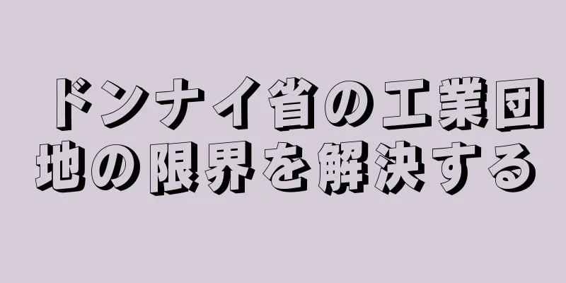 ドンナイ省の工業団地の限界を解決する