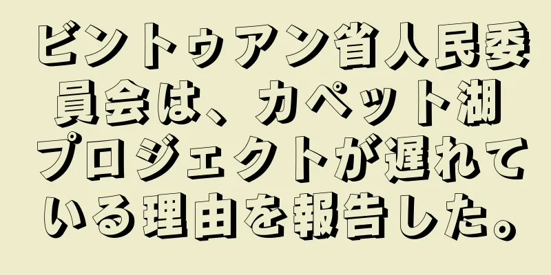 ビントゥアン省人民委員会は、カペット湖プロジェクトが遅れている理由を報告した。