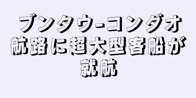 ブンタウ-コンダオ航路に超大型客船が就航