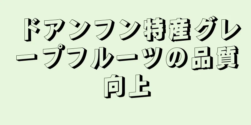 ドアンフン特産グレープフルーツの品質向上