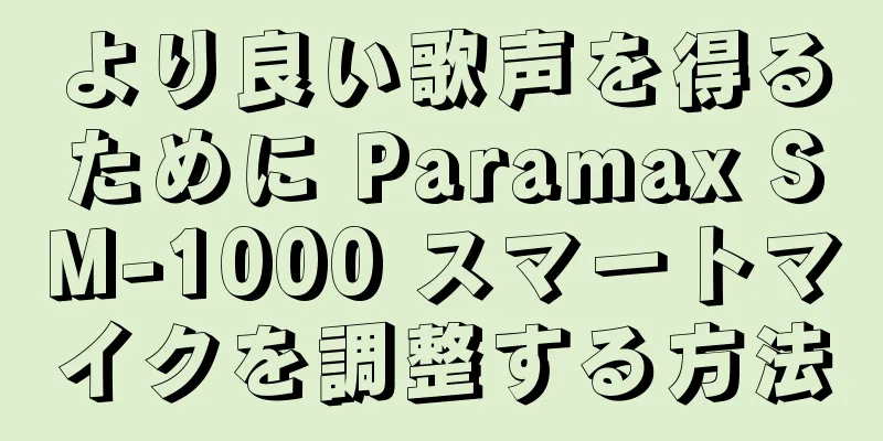 より良い歌声を得るために Paramax SM-1000 スマートマイクを調整する方法