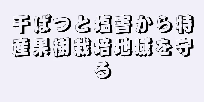 干ばつと塩害から特産果樹栽培地域を守る