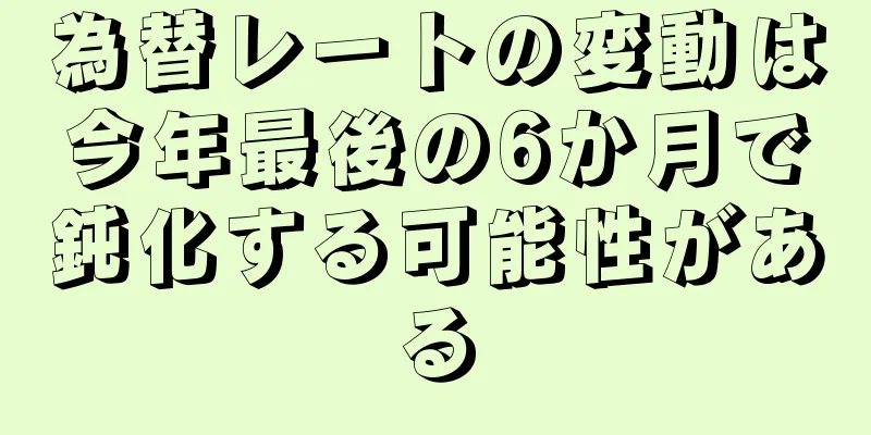 為替レートの変動は今年最後の6か月で鈍化する可能性がある