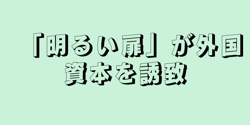 「明るい扉」が外国資本を誘致