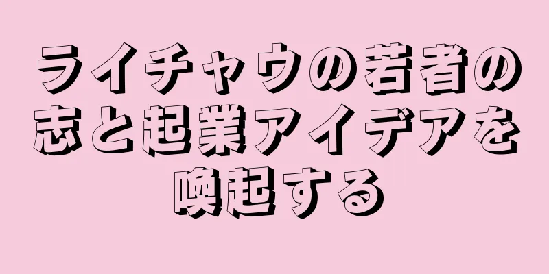 ライチャウの若者の志と起業アイデアを喚起する