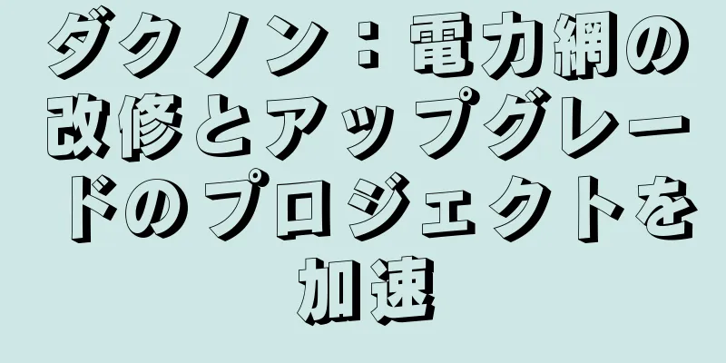 ダクノン：電力網の改修とアップグレードのプロジェクトを加速