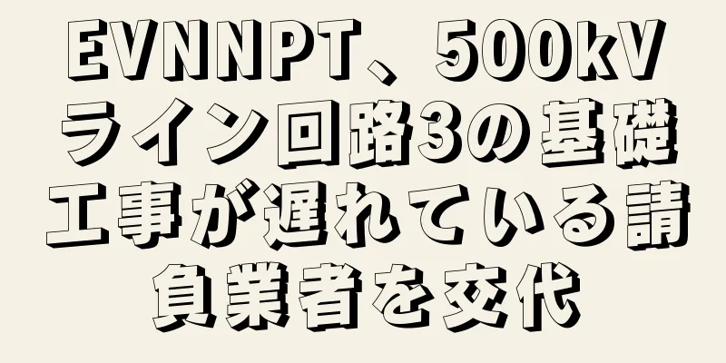 EVNNPT、500kVライン回路3の基礎工事が遅れている請負業者を交代
