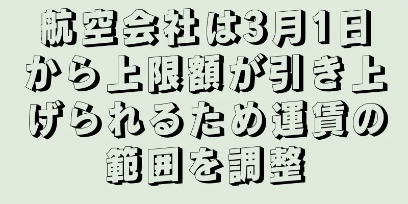 航空会社は3月1日から上限額が引き上げられるため運賃の範囲を調整