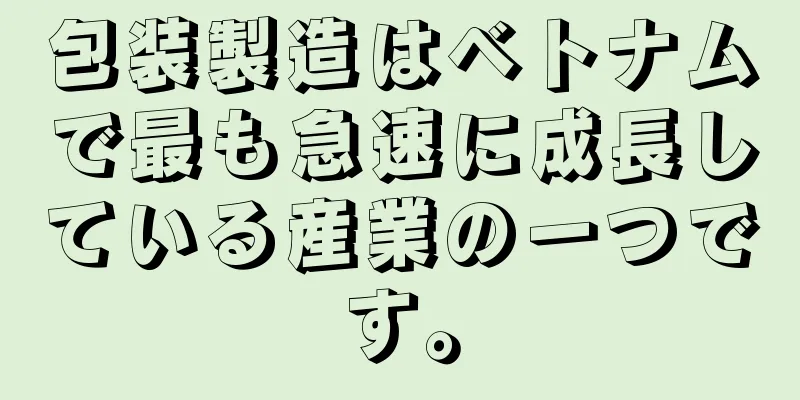 包装製造はベトナムで最も急速に成長している産業の一つです。