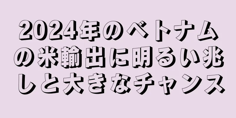 2024年のベトナムの米輸出に明るい兆しと大きなチャンス