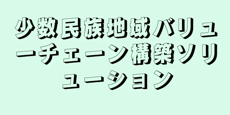 少数民族地域バリューチェーン構築ソリューション