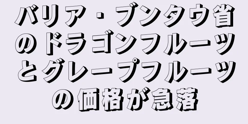 バリア・ブンタウ省のドラゴンフルーツとグレープフルーツの価格が急落