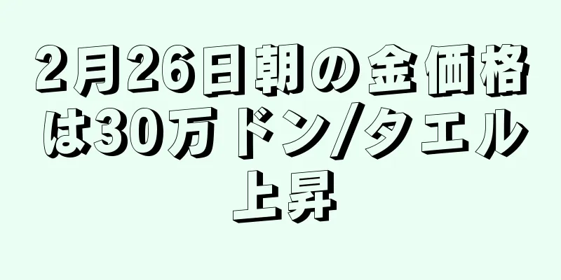 2月26日朝の金価格は30万ドン/タエル上昇