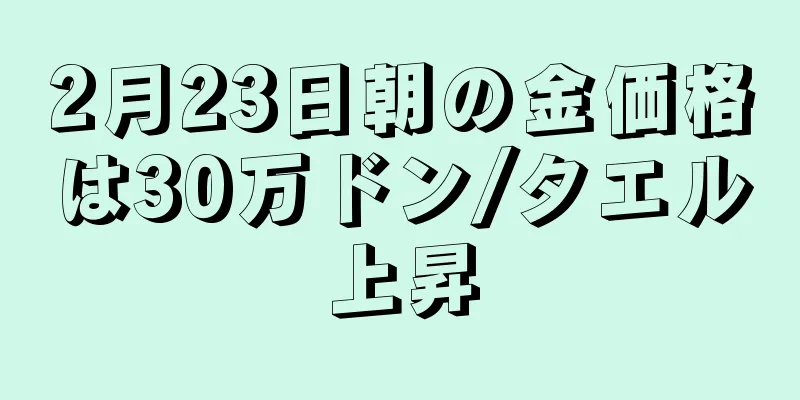 2月23日朝の金価格は30万ドン/タエル上昇