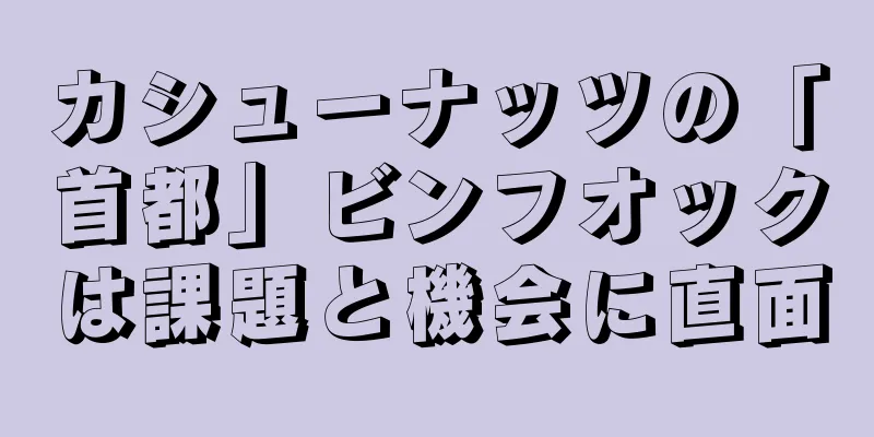 カシューナッツの「首都」ビンフオックは課題と機会に直面