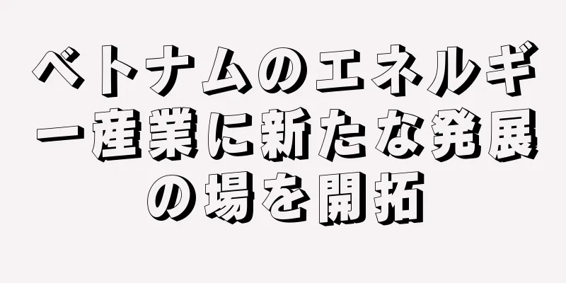 ベトナムのエネルギー産業に新たな発展の場を開拓
