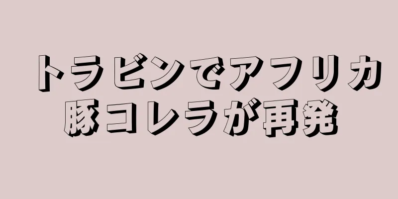 トラビンでアフリカ豚コレラが再発