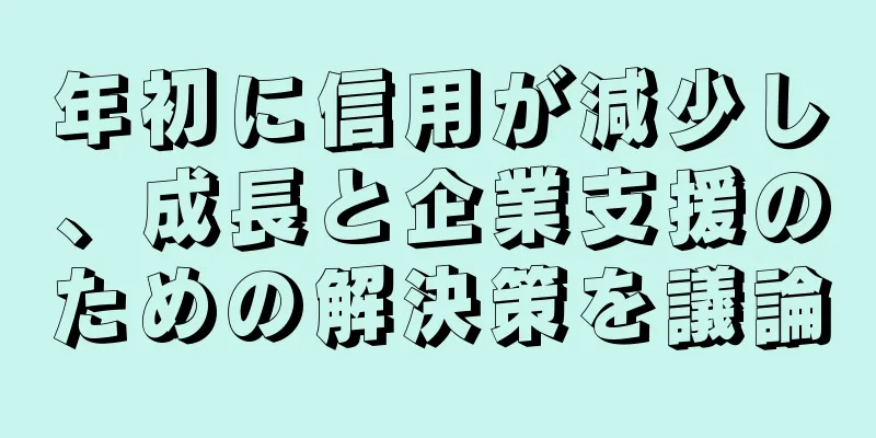 年初に信用が減少し、成長と企業支援のための解決策を議論