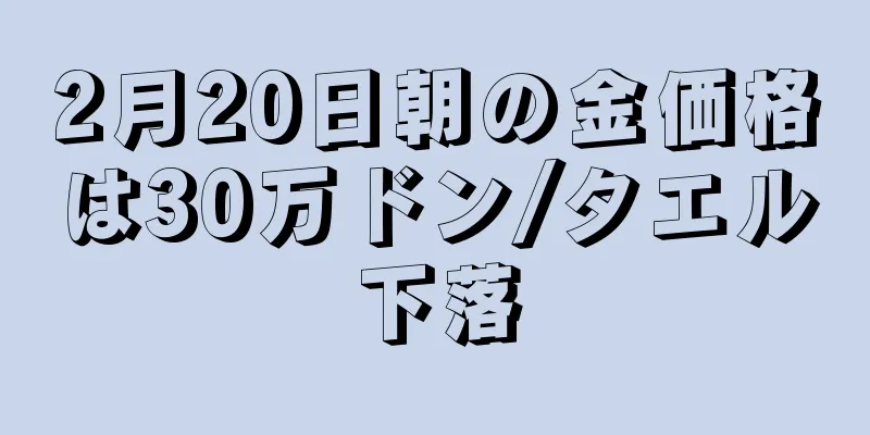 2月20日朝の金価格は30万ドン/タエル下落