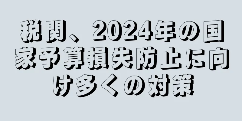 税関、2024年の国家予算損失防止に向け多くの対策