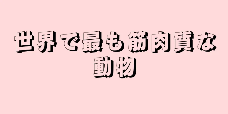 世界で最も筋肉質な動物
