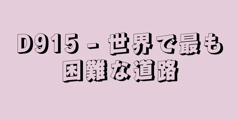 D915 - 世界で最も困難な道路