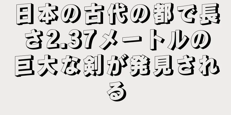 日本の古代の都で長さ2.37メートルの巨大な剣が発見される