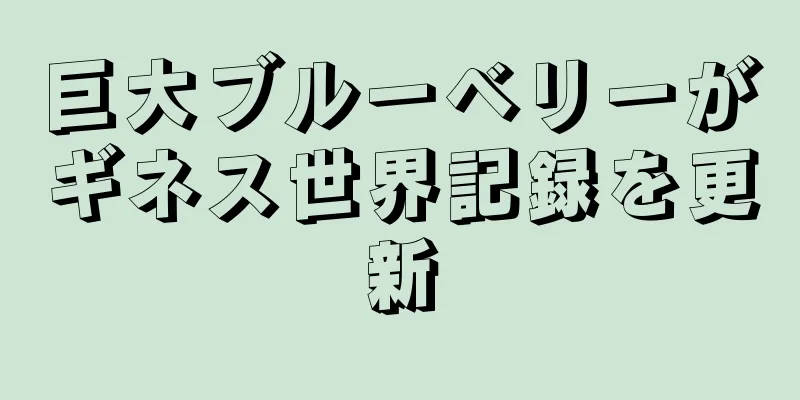 巨大ブルーベリーがギネス世界記録を更新