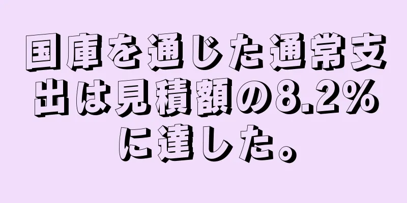 国庫を通じた通常支出は見積額の8.2％に達した。