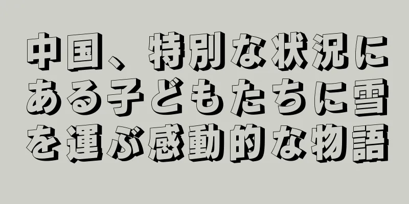 中国、特別な状況にある子どもたちに雪を運ぶ感動的な物語