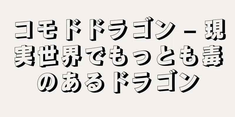 コモドドラゴン – 現実世界でもっとも毒のあるドラゴン