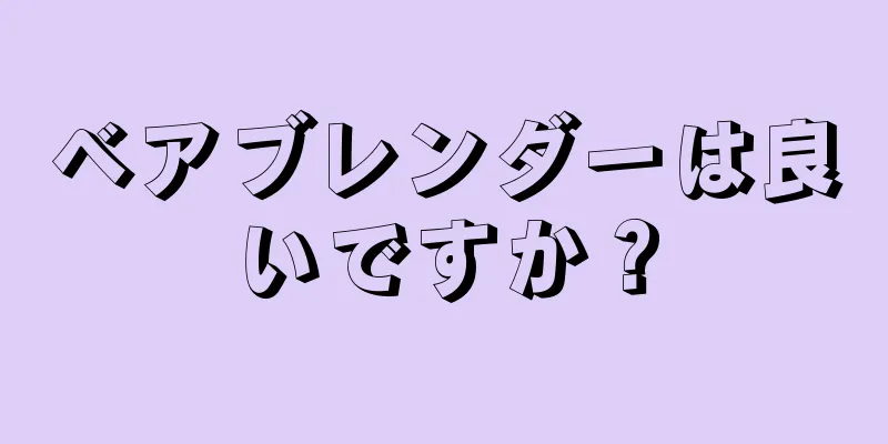 ベアブレンダーは良いですか？