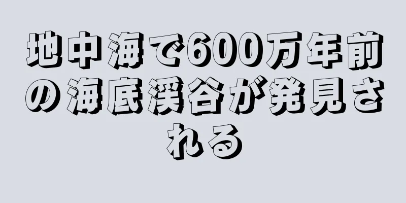 地中海で600万年前の海底渓谷が発見される