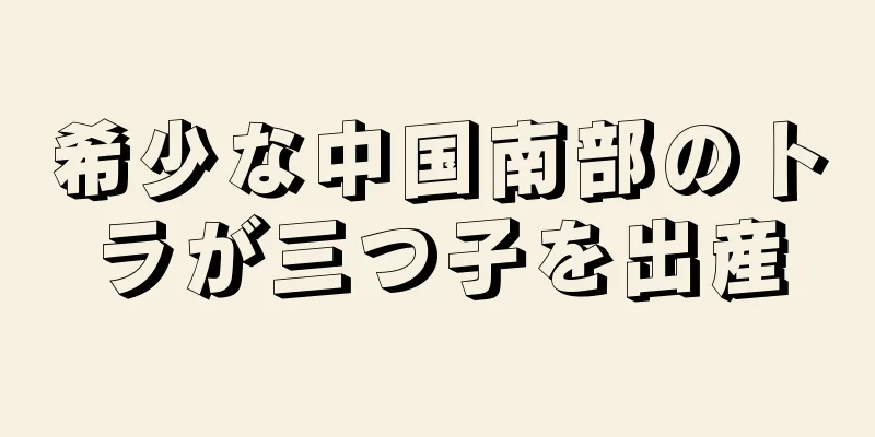 希少な中国南部のトラが三つ子を出産