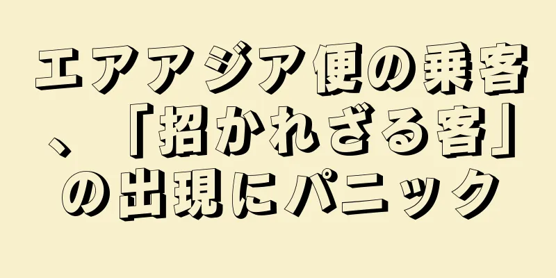 エアアジア便の乗客、「招かれざる客」の出現にパニック