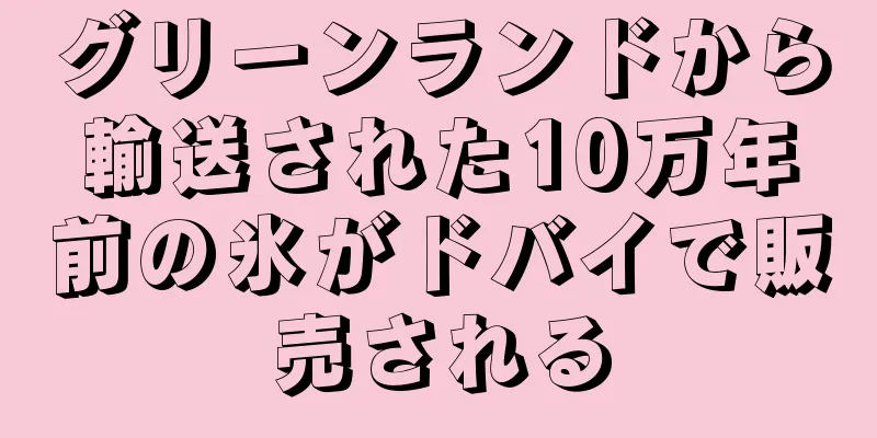 グリーンランドから輸送された10万年前の氷がドバイで販売される