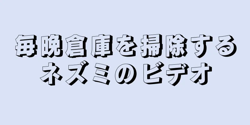 毎晩倉庫を掃除するネズミのビデオ