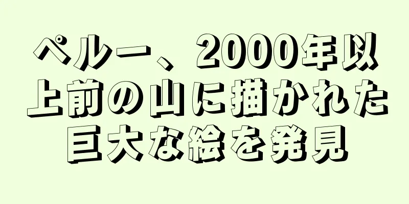 ペルー、2000年以上前の山に描かれた巨大な絵を発見